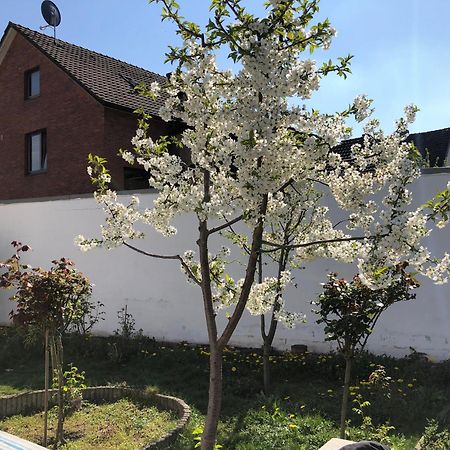 Kleve-Kellen Apartment Kleve  Exterior photo